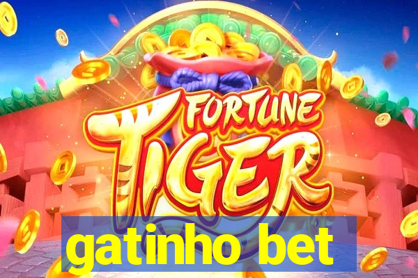 gatinho bet